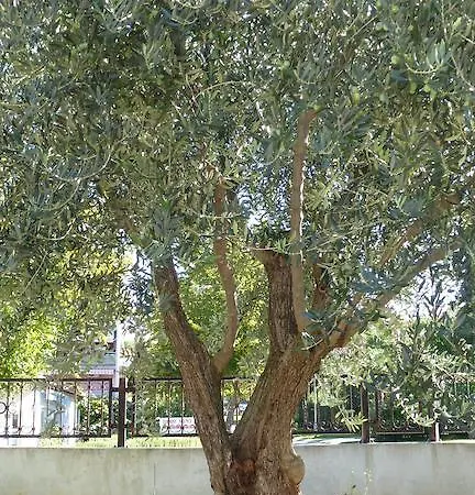 Appartement Libera *