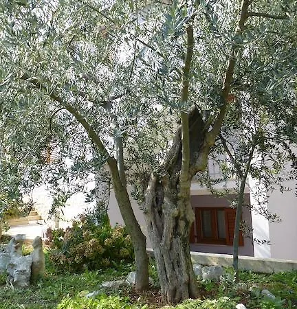Appartement Libera *